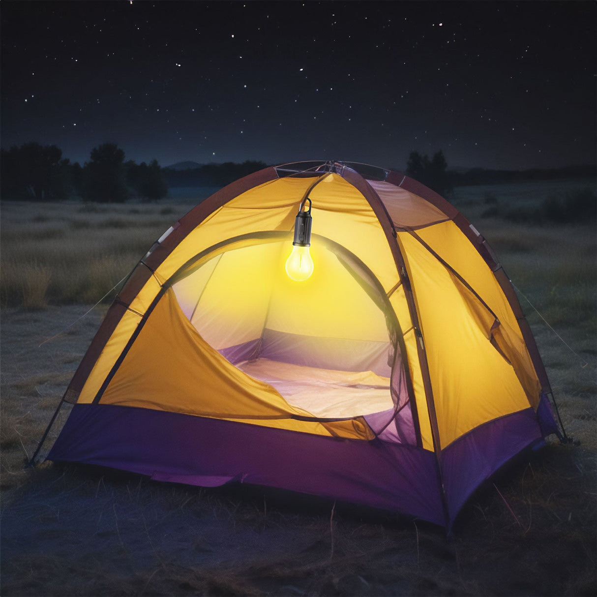 Lampe solaire extérieure forme ampoule avec recharge USB-C