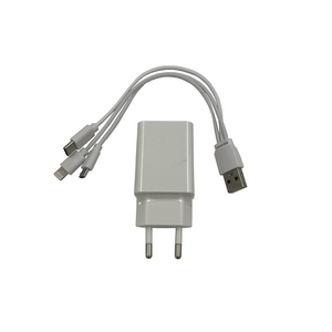 Batterie de secours multifonction 12V avec compresseur, chargeur USB et lampe