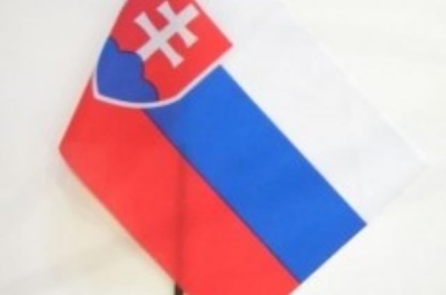 Petit drapeau à main 30x45 cm – Plusieurs motifs nationaux