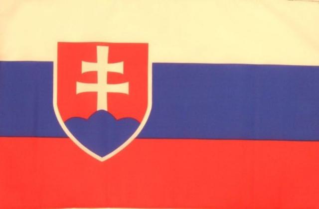 Bandera grande de Eslovaquia (90x150 cm)